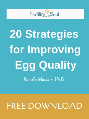 20-Strategies-Improving-Fertility-Egg-Quality